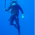 lonelydiver