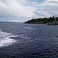 SeaSmitty34