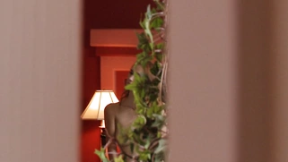 Scarlet Red catches Johnny spying and masturbating on a naked Dee Dee Lynn