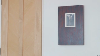 Busty maid Rachel Raxxx is cleaning the house