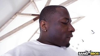 MILF Nicole Aniston is sucking the gagrantuan black cock