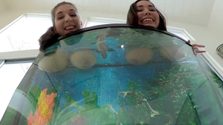 Busty girls Alex Chance and Karlee Grey wets their boobs in the aquarium