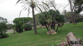 Italian Martina Smeraldi gives masterful blowjob