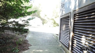 Italian Martina Smeraldi rides and sucks the stiff dick