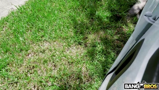 Bailey Base is getting picked up on the street