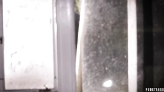 Eliza Jane and Whitney Wright gets banged and facialed