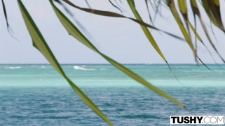 Talia Mint has intense anal sex with the stranger