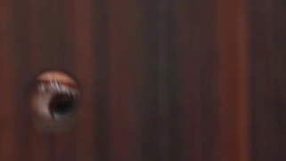 Jayla De Angelis is sucking the cock in POV