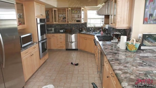 Lesbians Charley Chase and Ann Marie Rios are kissing