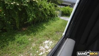 MILF Sydney Paige gets fucked and facialed by Tyler Steel