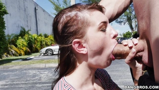 Alice Andrea started sucking him off in the parking lot