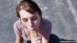 Alice Andrea started sucking him off in the parking lot