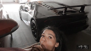 Harley Haze is sucking the cock in POV outdoors