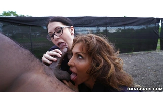 Cock hungry cops Lyla Lali and Norah Gold sucking giant black pole