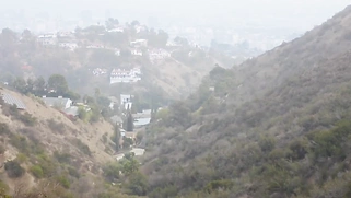 VIXEN Superstar Violet and Bodyguard Give In to Temptation