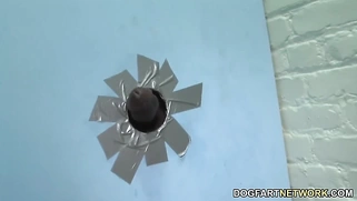 Busty Mackenzie Pierce Sucks BBC - Gloryhole