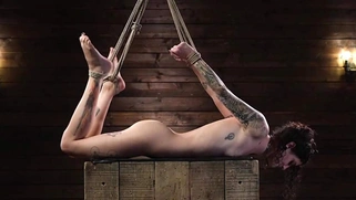 Tattooed slave endures extreme hogtie
