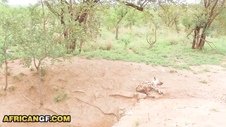 Sexy Black Girlfriend Hard Pussy Pounded By BWC American In Amateur Fuck