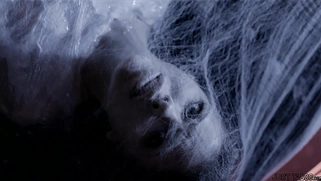 We'll take turns on both of you!