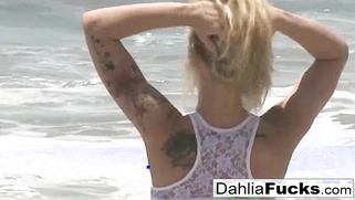 Dahlia Sky's nice solo compilation