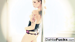 Dahlia gives her tight, moist pussy a dildo.